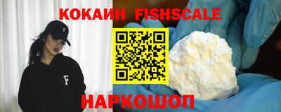 гидра Гай