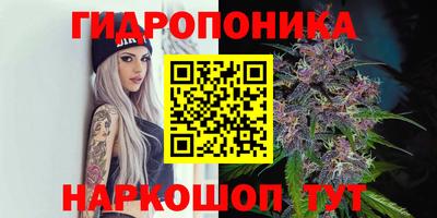 гидра Гай
