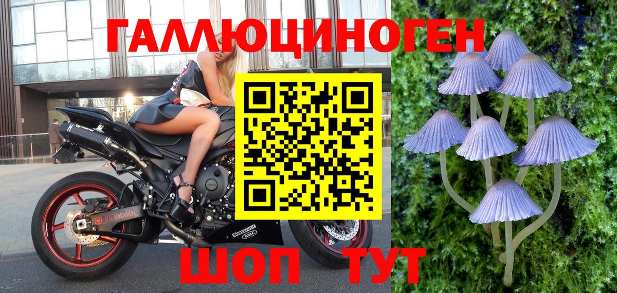 Галлюциногенные грибы ЛСД Кизляр