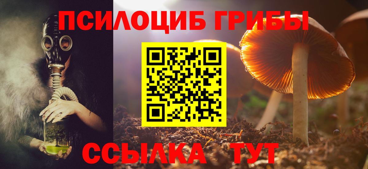 Кизляр  Галлюциногенные грибы MAGIC MUSHROOMS  купить наркотики сайты  Псилоцибиновые грибы Psilocybe  Вход с VPN 